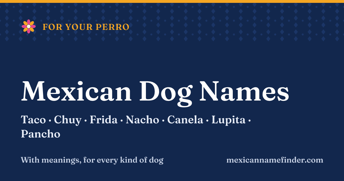 Mexican dog names with meanings