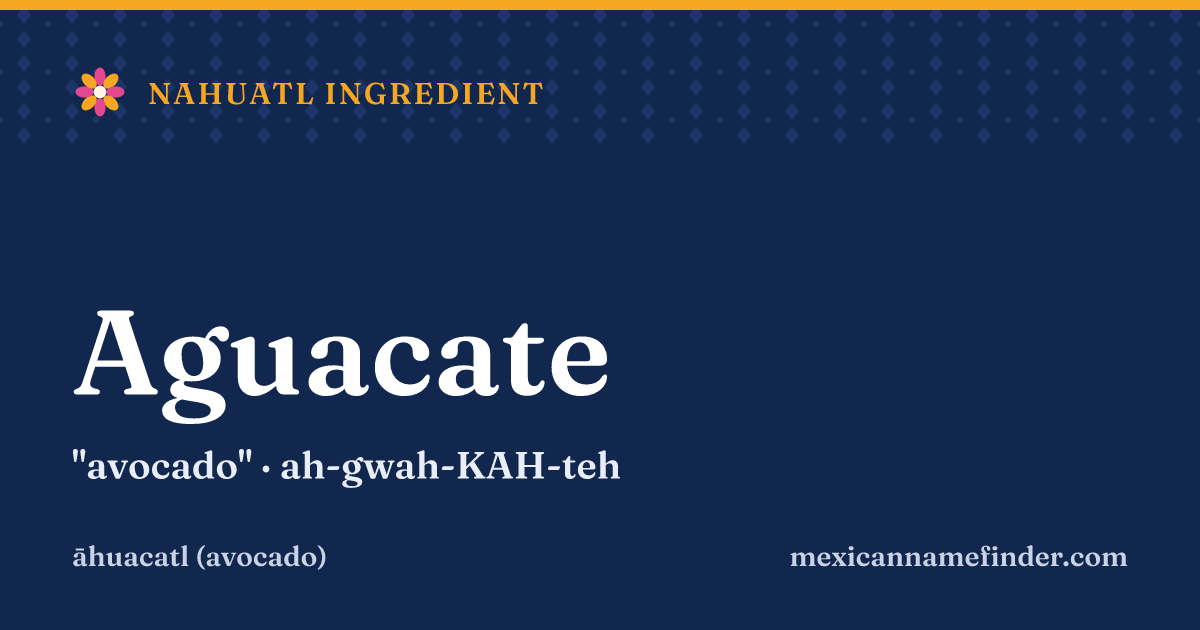 Aguacate means avocado