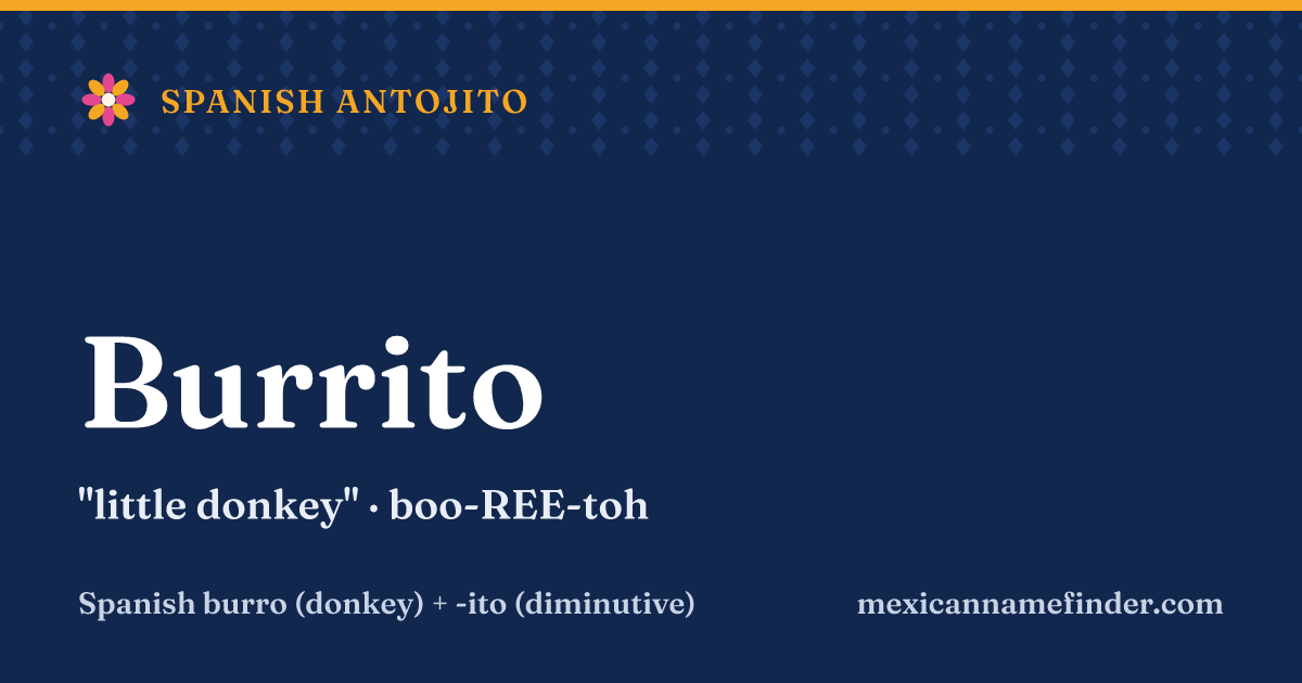 Burrito means little donkey