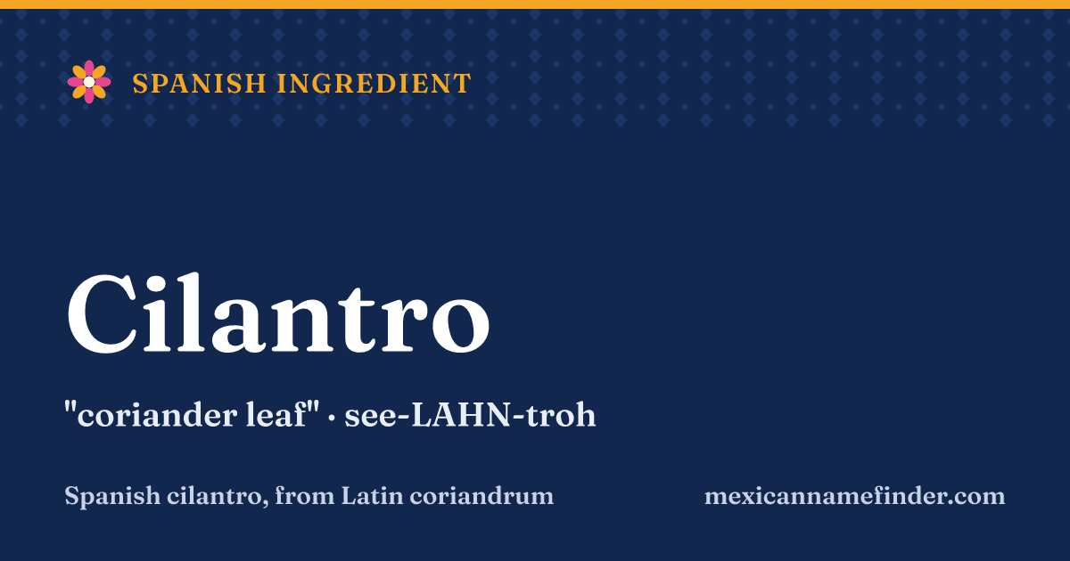 Cilantro means coriander leaf
