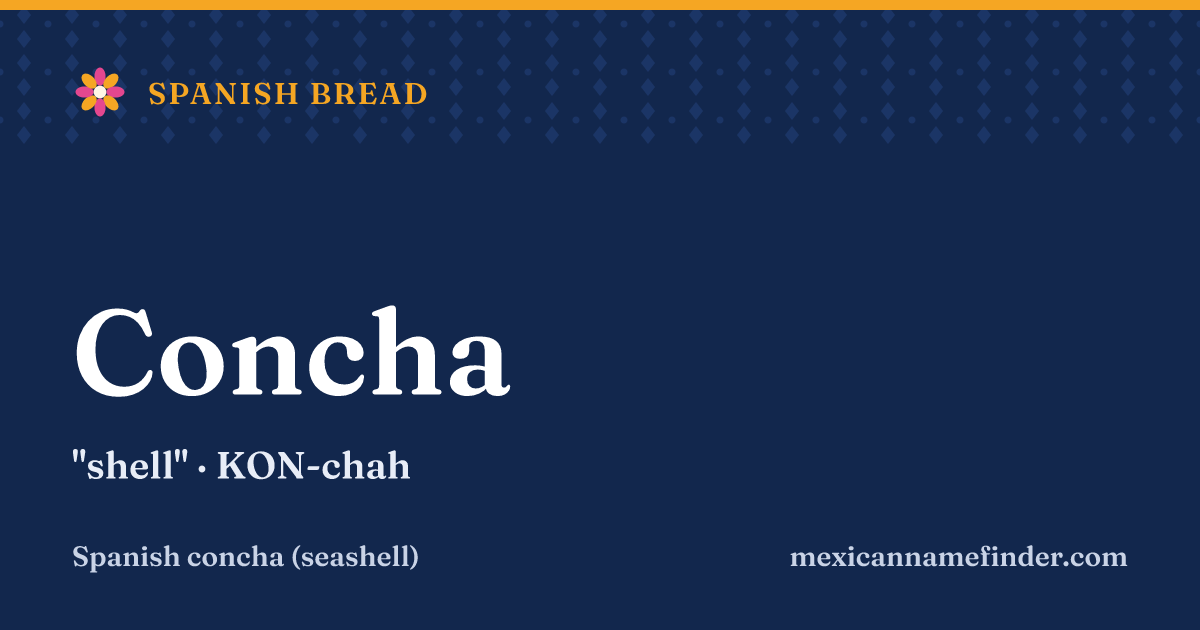 Concha means shell