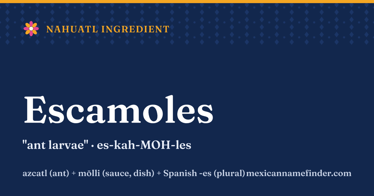 Escamoles means ant larvae