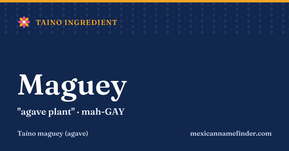 Maguey means agave plant
