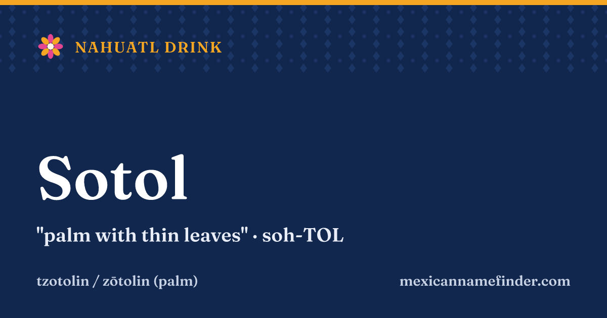 Sotol means palm with thin leaves