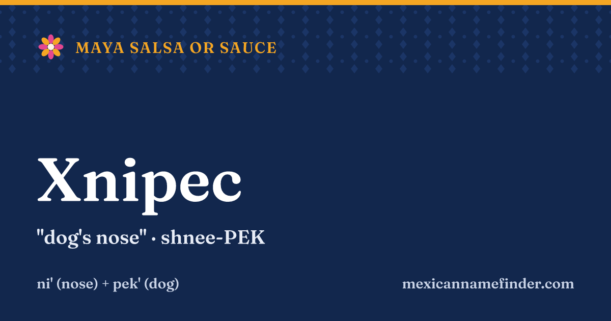 Xnipec means dog's nose