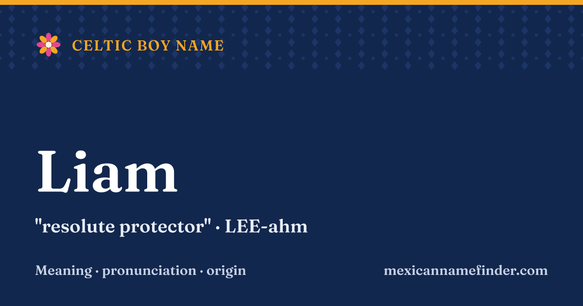 Liam means resolute protector