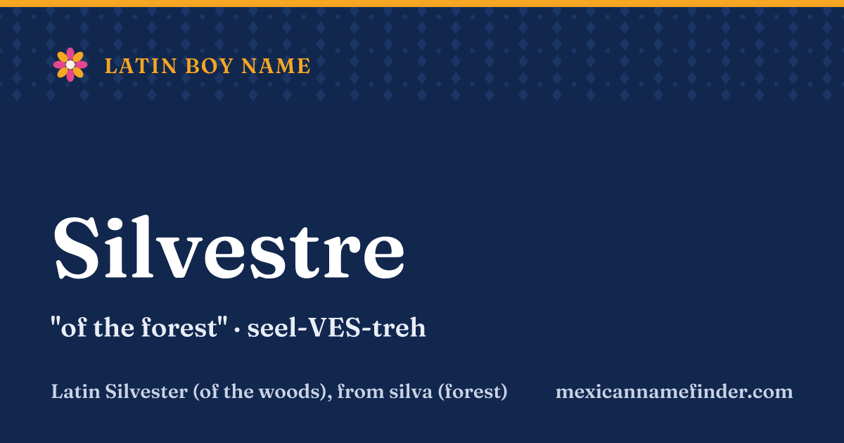 Silvestre means of the forest