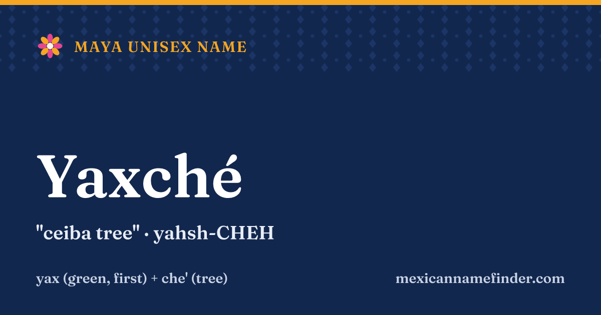 Yaxché means ceiba tree